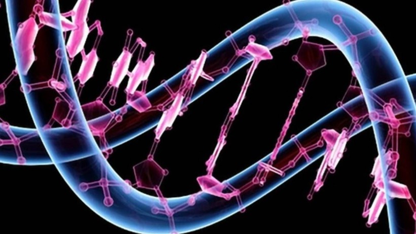 Genetik Test Şirketi İflas Etti! Tüm DNA Verilerini Satışa Çıkardı - Resim: 1