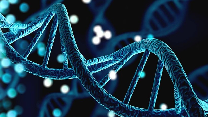 Genetik Test Şirketi İflas Etti! Tüm DNA Verilerini Satışa Çıkardı - Resim: 2