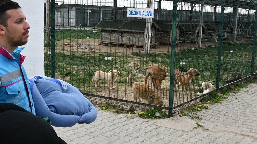 Lüleburgaz Belediyesi’nden Sokak Hayvanları İçin Kalp Isıtan Proje, Eski Kumaşlar Yatak Oldu - Resim : 4