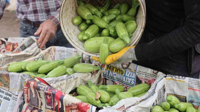 Beklenen Hasat Geç Başladı! Hatay'da Tarlaları Don Vurdu, Fiyatları 2'ye Katladı - Resim: 2
