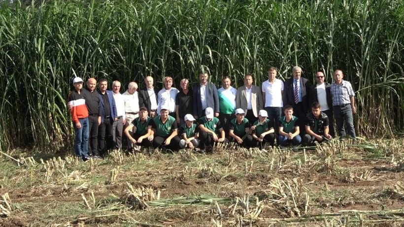 Sadece 1 Defa Ekiliyor Tam 15 Sene Hasat Ediliyor! Üreticilerin Yeni Gözdesi - Resim: 3