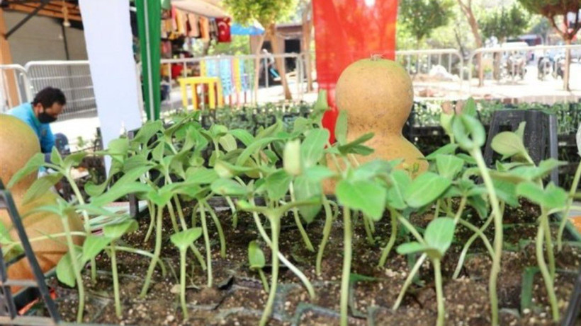 Tarih Verildi Hepsi Ücretsiz Dağıtılacak! Duyan Sıraya Girecek 1 Kuruş Para Vermeden Bedava Alınabilecek - Resim: 3