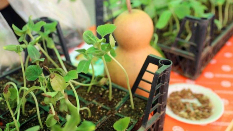 Tarih Verildi Hepsi Ücretsiz Dağıtılacak! Duyan Sıraya Girecek 1 Kuruş Para Vermeden Bedava Alınabilecek - Resim: 4