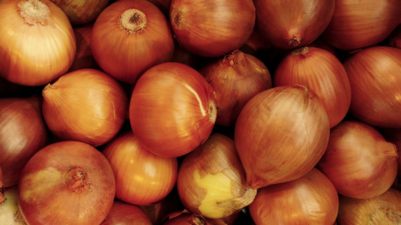 En Kokulu Hasat Başladı! Kilosu 15 Liraya Satılıyor: Doğal Antioksidan Kaynağı, Yiyen Hastalık Yüzü Görmüyor - Resim: 1