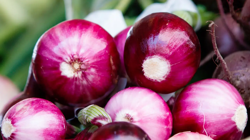 En Kokulu Hasat Başladı! Kilosu 15 Liraya Satılıyor: Doğal Antioksidan Kaynağı, Yiyen Hastalık Yüzü Görmüyor - Resim: 2