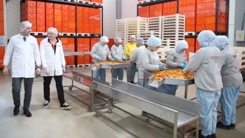 Mühendisliği Bırakıp Baba Mesleğine Yöneldi: Kendi İşinin Patronu Oldu! Paraya Para Demiyor - Resim: 1