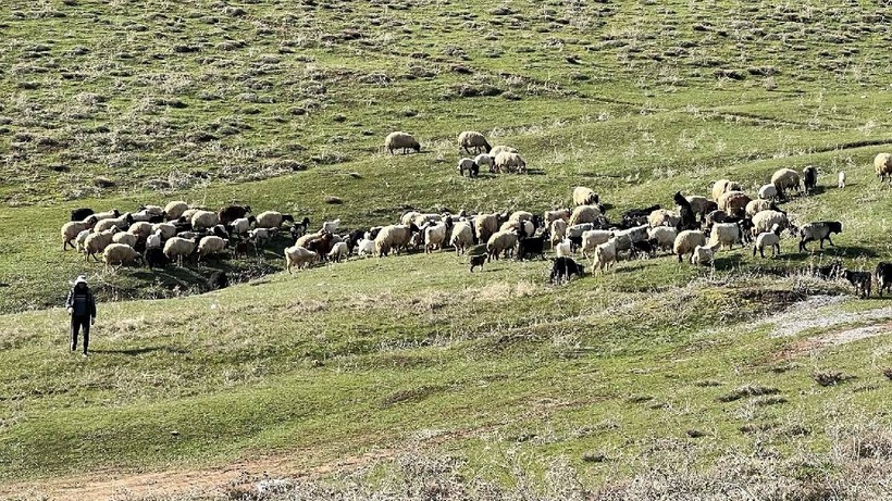 Herkesin Burun Kıvırdığı İş İçin 70 Bin TL Maaş Veriyorlar: Kimse Başvurmazsa Yurt Dışından Getirecekler - Resim: 3