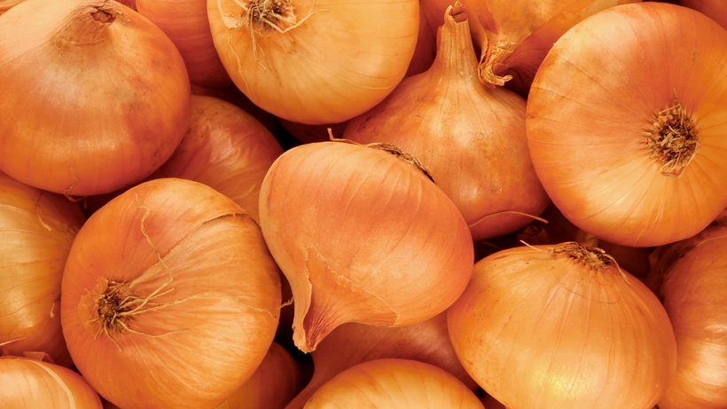 Topraktan Resmen Petrol Gibi Fışkırdı: Beyaz Altının Kilosu 7 TL’ye İndi! Bu Kadar Faydasını Kimse Bilmiyordu - Resim: 3