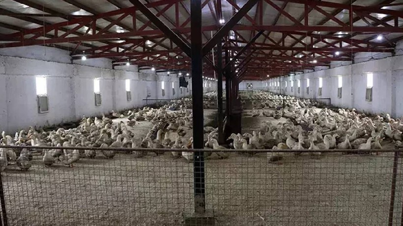 Sıfırdan Başlayıp Köşeyi Döndü: İlk Duyan Gülüp Geçti, Şimdi Paraya Para Demiyor - Resim: 5