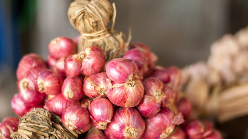 Topraktan Resmen Petrol Gibi Fışkırdı: Beyaz Altının Kilosu 7 TL’ye İndi! Bu Kadar Faydasını Kimse Bilmiyordu - Resim: 1