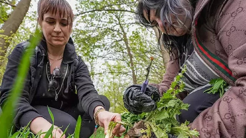 Duyan Sepetini Aldı Hevsel Bahçeleri’ne Koştu! Binbir Şifalı Hasat Başladı - Resim: 3