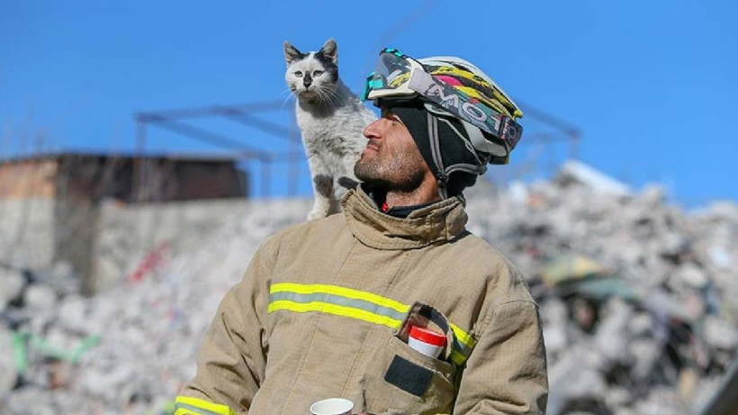 Doğal Deprem Alarmı: Depremi 3 Gün Öncesinden Hissediyor! Bilim İnsanları Bu Hayvana Odaklandı - Resim: 5