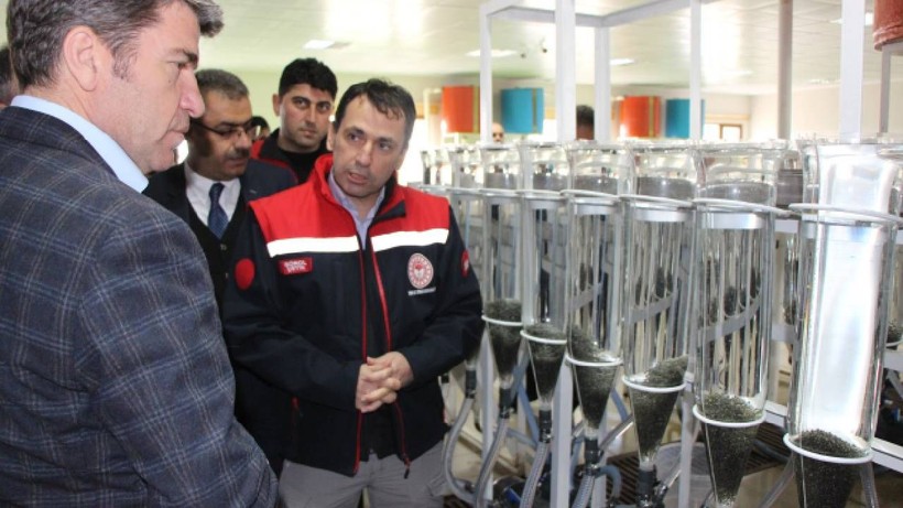 Yetiştirmesi Sabır İstiyor, Satışıyla Servet Kazandırıyor! Türkiye’de Üretiliyor Kilosu 96 Bin TL'ye Satılıyor - Resim: 7