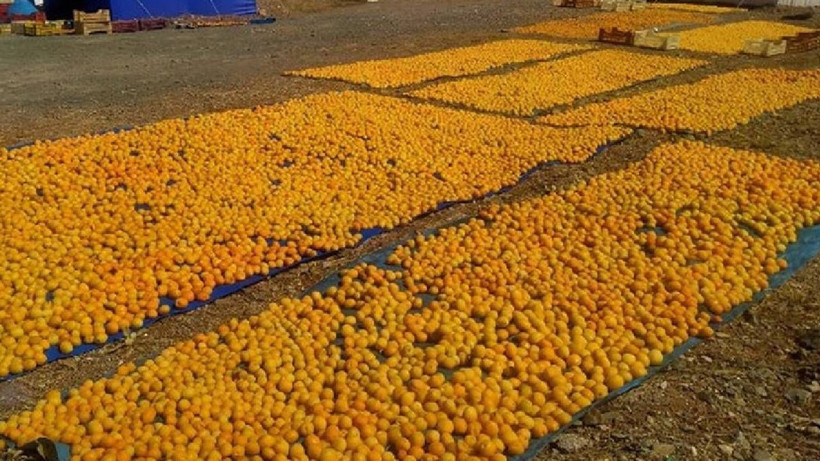 Fiyatlar Uçtu, 1 Hafta İçinde 4 Kat Zam Geldi! Artık Marketlerde Değil, Taneyle Eczanelerde Satılacak - Resim: 4