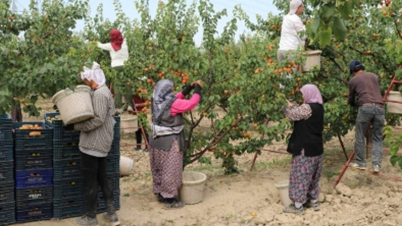 Fiyatlar Uçtu, 1 Hafta İçinde 4 Kat Zam Geldi! Artık Marketlerde Değil, Taneyle Eczanelerde Satılacak - Resim: 3