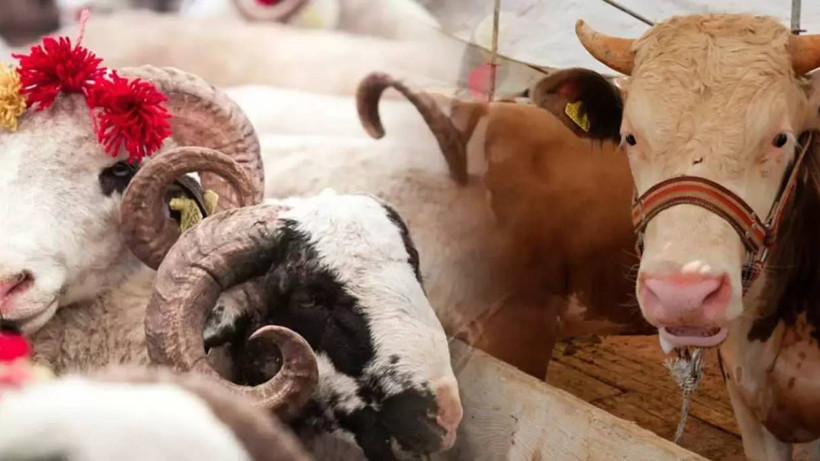 Kurban Bayramı Öncesi Tümden Değişti! Artık Zorunlu Oldu - Resim: 1