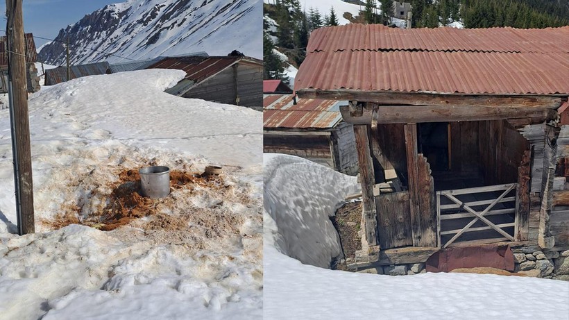 Kış Uykusundan Uyanan Ayılar 30 Eve Zarar Verdi - Resim : 1