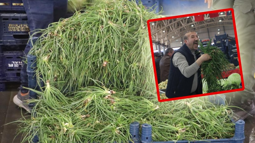 Özlemle Beklenen Hasat Başladı! Talep Patlaması Yaşıyorlar: Derman Olmadığı Dert Yok - Resim: 1