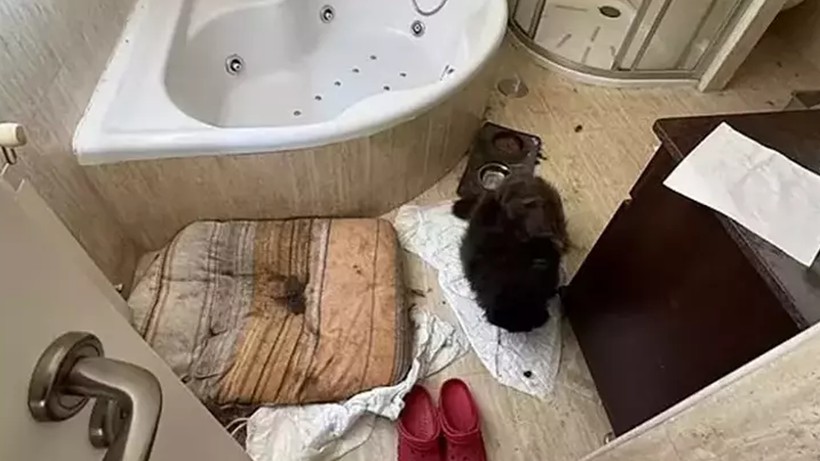 Aile Değil Dehşet Evi! 3 Çocuğa 4 Yıllık İşkence… Güneşi İlk Kez Gördüler, Her Detayı Kan Dondurdu - Resim : 4