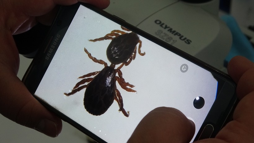 7 İlde Ölümcül Alarm! Kabus Geri Döndü… Fark Edilmesi Çok Zor - Resim : 3