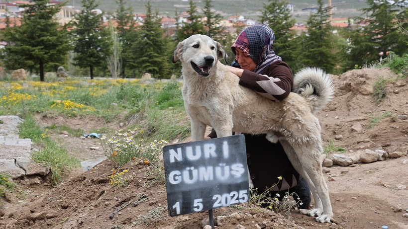 Garip'ten Dostuna Herkesi Ağlatan Büyük Vefa! Sabah Akşam Mezarı Başından Hiç Ayrılmadı - Resim : 1