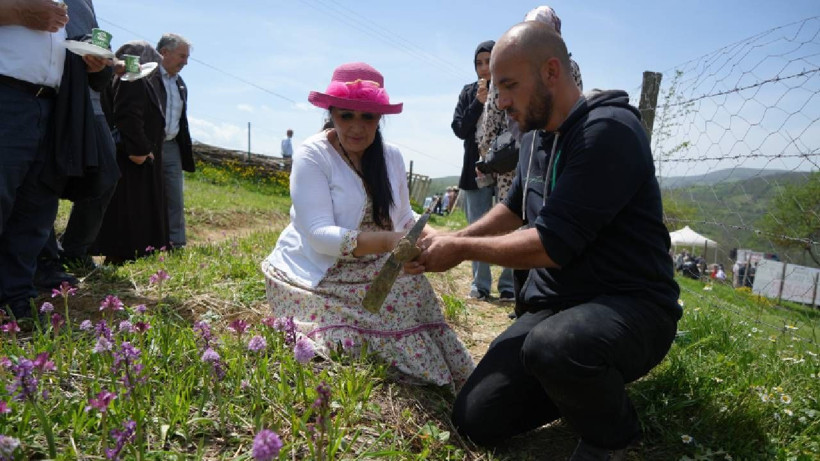 Hasat Eden Köşeyi Dönüyor: Topraktaki Altın Olarak Biliniyor, Kilosu 3 Bin TL'ye Satılıyor - Resim: 1