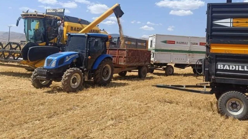 Mardin Kızıltepe'de İlk Hasat Başladı! Tonu 12 Bin Liraya Satılıyor, Rekor Olacak - Resim: 1