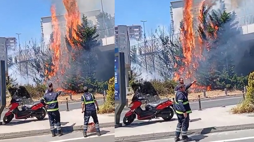 Beşiktaş’ta Ağaçlık Alanda Yangın - Resim : 1