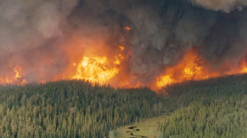 Kanada'da Orman Yangınları Sonrası Büyük Alarm! Tahliyeler Başladı, Olağanüstü Hal İlan Edildi - Resim : 1