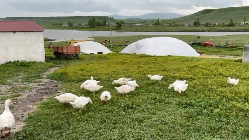 Altına Yeni Rakip Geldi: 1 Tanesi 4.500 TL'ye Satılıyor, Duyan Almak İçin Oraya Koşuyor - Resim: 1
