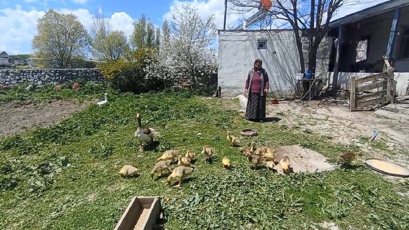Altına Yeni Rakip Geldi: 1 Tanesi 4.500 TL'ye Satılıyor, Duyan Almak İçin Oraya Koşuyor - Resim: 2