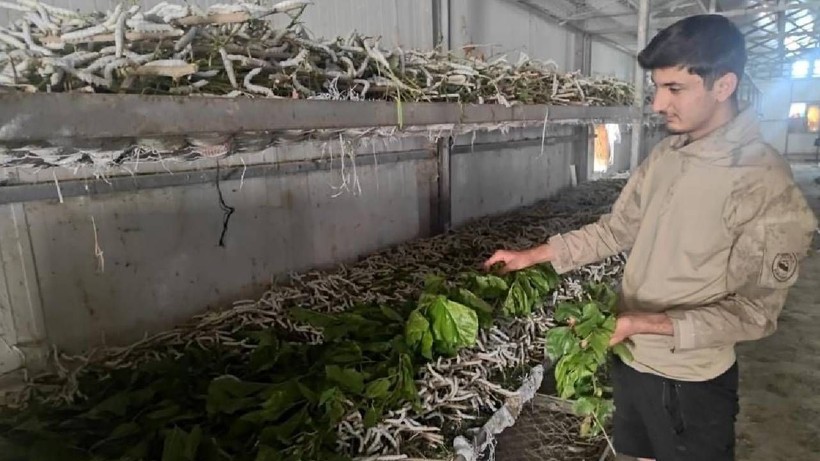 Bu İşe Giren Ayda 100 Bin TL Kazanıyor: 3 Aileyle Başladı, Şimdi Tüm İlçe Köşeyi Döndü - Resim: 1