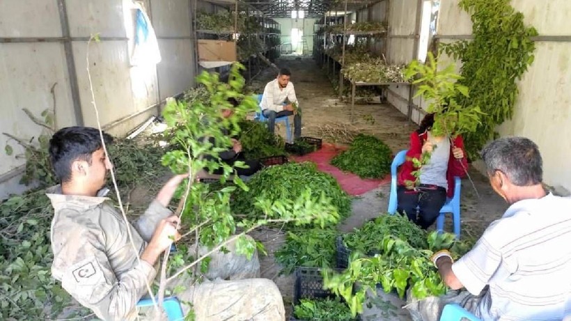 Bu İşe Giren Ayda 100 Bin TL Kazanıyor: 3 Aileyle Başladı, Şimdi Tüm İlçe Köşeyi Döndü - Resim: 2