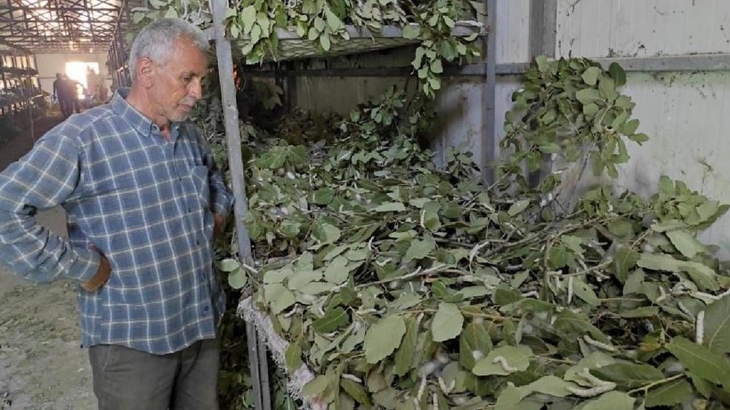 Bu İşe Giren Ayda 100 Bin TL Kazanıyor: 3 Aileyle Başladı, Şimdi Tüm İlçe Köşeyi Döndü - Resim: 3