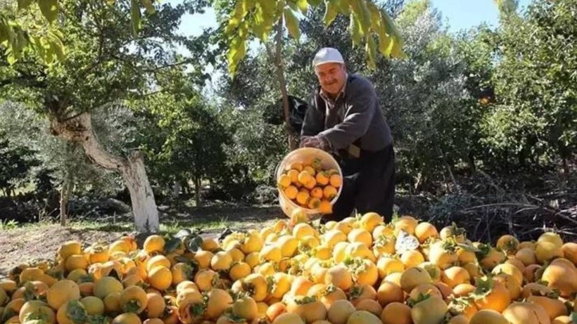 İşsiz kaldı, Zengin Oldu: İspanyollar Görüp Peşine Düştü! Şimdi Paraya Para Demiyor - Resim: 4