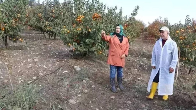 İşsiz kaldı, Zengin Oldu: İspanyollar Görüp Peşine Düştü! Şimdi Paraya Para Demiyor - Resim: 5