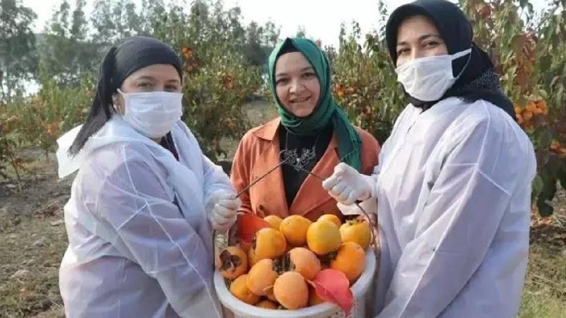 İşsiz kaldı, Zengin Oldu: İspanyollar Görüp Peşine Düştü! Şimdi Paraya Para Demiyor - Resim: 6