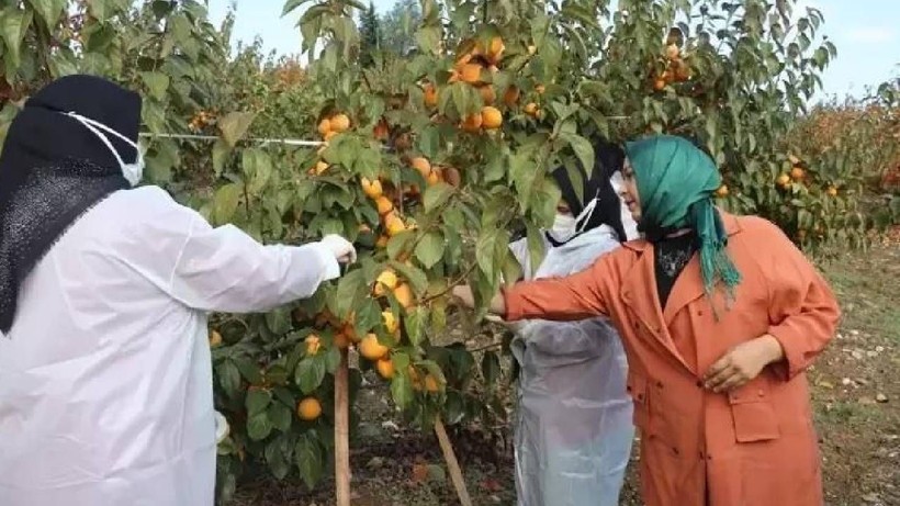 İşsiz kaldı, Zengin Oldu: İspanyollar Görüp Peşine Düştü! Şimdi Paraya Para Demiyor - Resim: 7