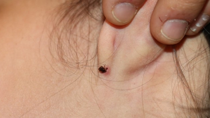 5 İlde Ölümcül Alarm! Isınan Hava Hareketlendirdi… Yaz Mevsiminin Sessiz Tehdidi Büyüyor - Resim : 2