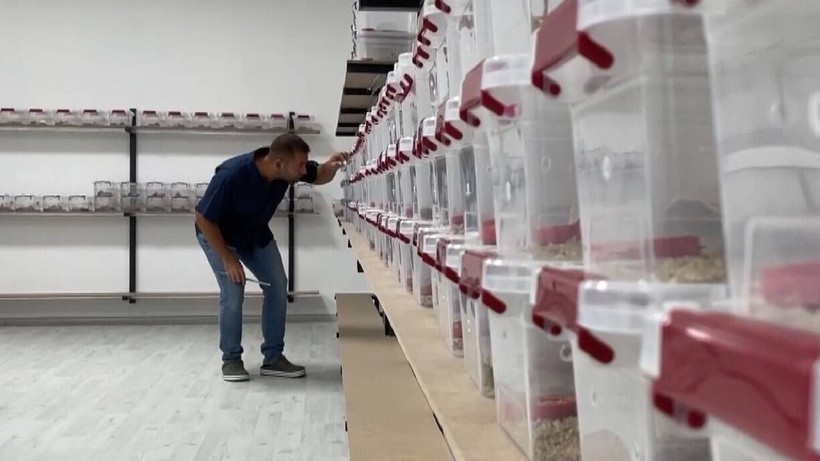 3 Ayda Tamamladı, 1 Dakikada Servet Kazandı! Her Ay Topluyor, Paraya Para Demiyor - Resim: 3