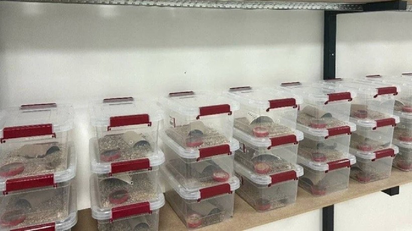 3 Ayda Tamamladı, 1 Dakikada Servet Kazandı! Her Ay Topluyor, Paraya Para Demiyor - Resim: 1