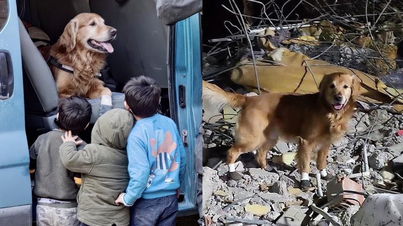 6 Şubat’ın Minik Kahramanından Yürek Yakan Haber! Enkazdan 18 Kişiyi Kurtarmıştı - Resim : 1