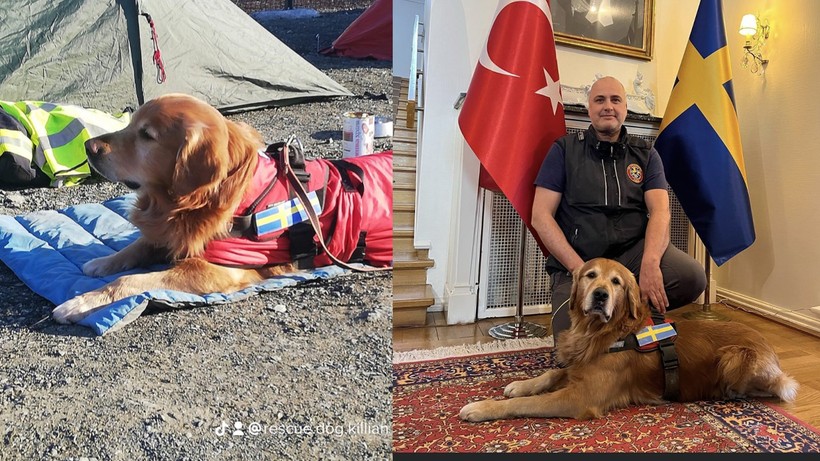 6 Şubat’ın Minik Kahramanından Yürek Yakan Haber! Enkazdan 18 Kişiyi Kurtarmıştı - Resim : 3