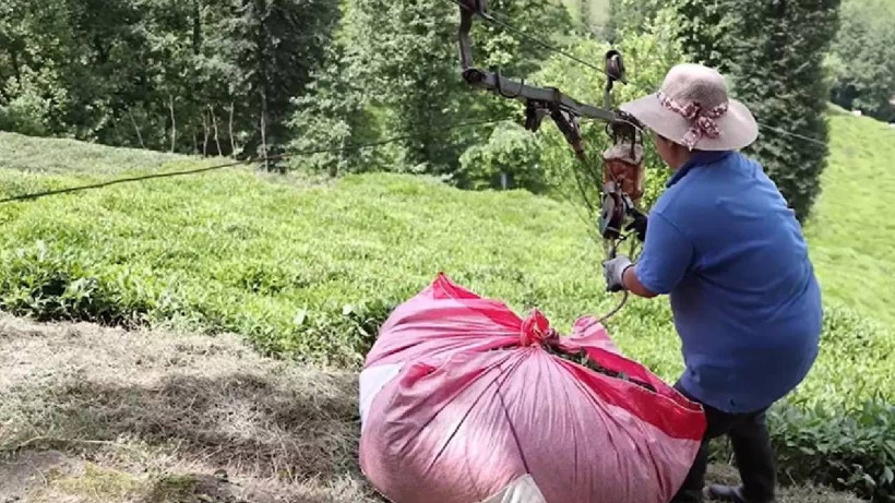 152 Bin Dekar Alanda Her Gün 12 Saat Boyunca Durmadan Çalışıyorlar! Günlük Kazancını Duyan Akın Ediyor - Resim: 3