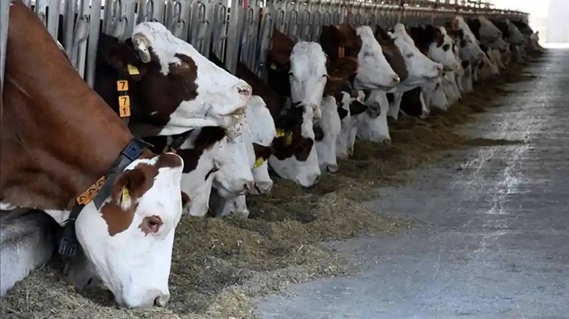 Bakan Yeni Destek Paketini Duyurdu: Bayram Öncesi O Kişilere 18 Bin TL Yatacak - Resim: 3