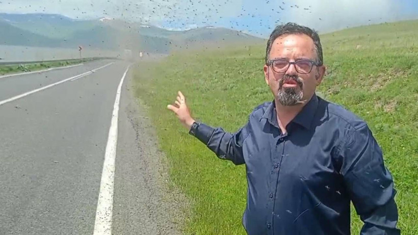 Her Yıl Aynı Manzara... Yeşil Sinekler İstila Etti! Göz Gözü Görmüyor - Resim: 3