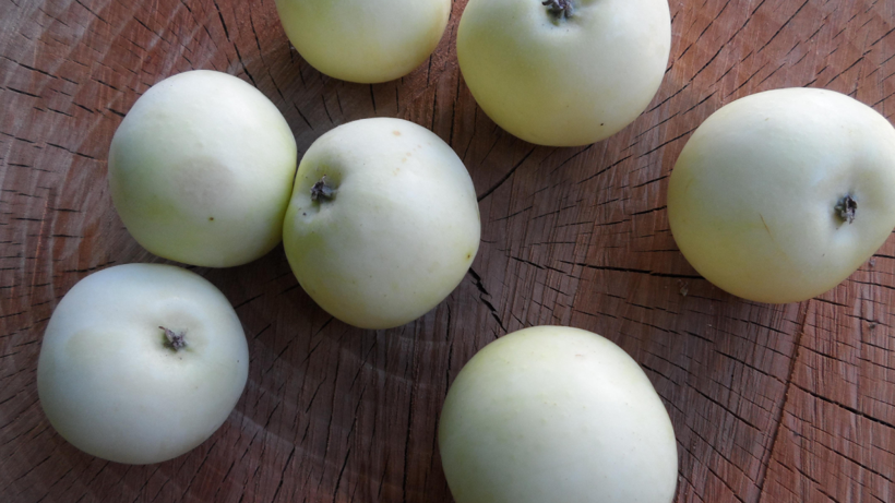 Türkiye'nin Sadece O Şehrinde Yetişiyor! Şeker Hastalığına Bire Bir, Günboyu Tok Tutuyor - Resim: 5