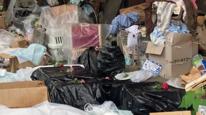 Mezarlığa Dönen Dehşet Evi! 100’den Fazla… Komşuların İhbarı Korkunç Gerçeği Ortaya Çıkardı - Resim : 2