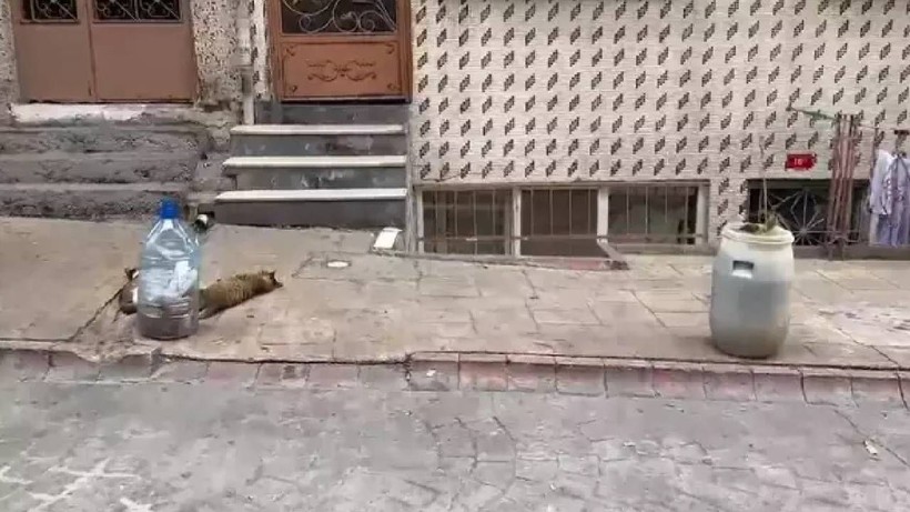 Evinin Önüne Duba Koyan Yandı! Artık Park Yeri Ayırma Devri Bitti: Tek Bir Şikayet Yetiyor - Resim: 3
