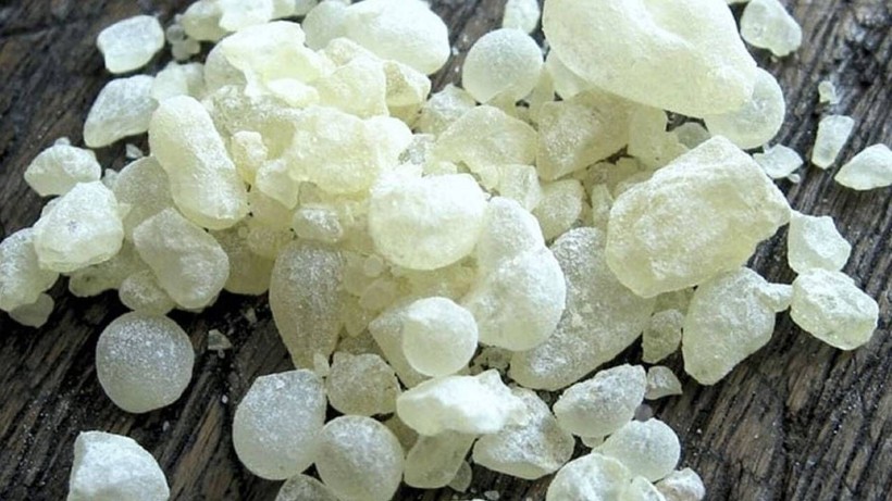 Dinlene Dinlene Dövülüyor, Kilosu 10 Bin TL'ye Satılıyor! Küçücük Tanesi Bile Altından Değerli - Resim: 1
